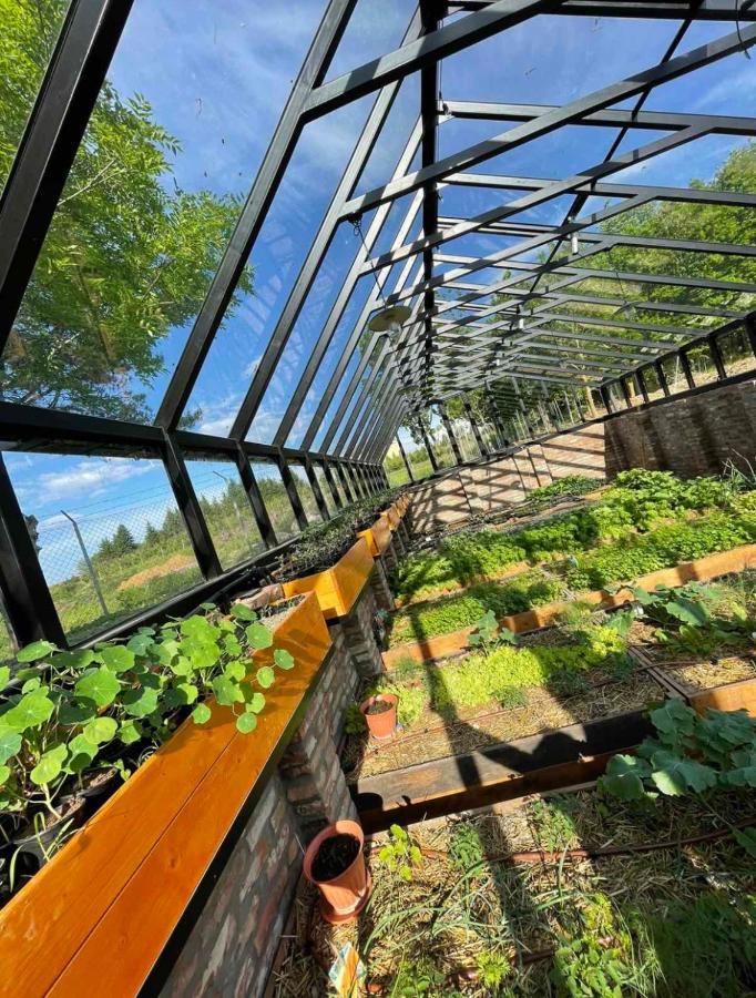 Istvan Parkhotel Es Gasztrofarm Sormás Екстериор снимка