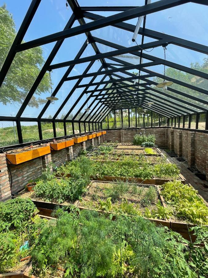 Istvan Parkhotel Es Gasztrofarm Sormás Екстериор снимка