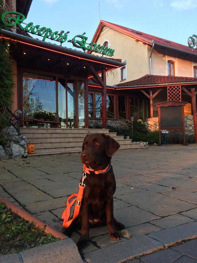 Istvan Parkhotel Es Gasztrofarm Sormás Екстериор снимка